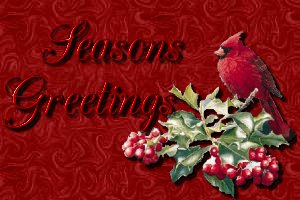 cardinal with Season's Greetings